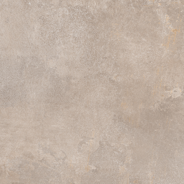 FIND DOVE 30x60 2 WEB3