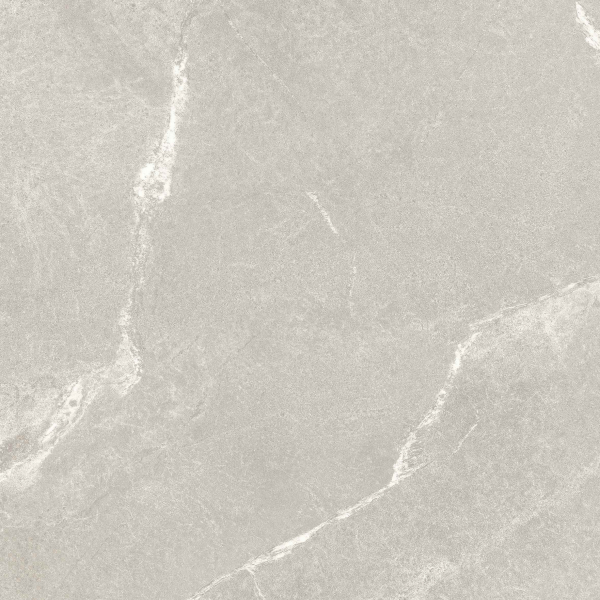 SELECT 24X48 DOLOMITE GRAY F4
