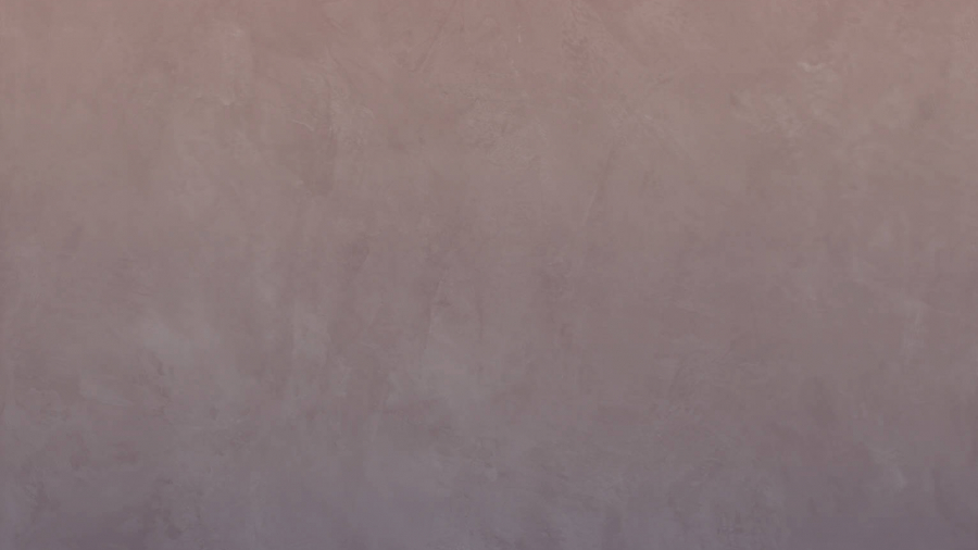X62214 01 dusk spice rid3
