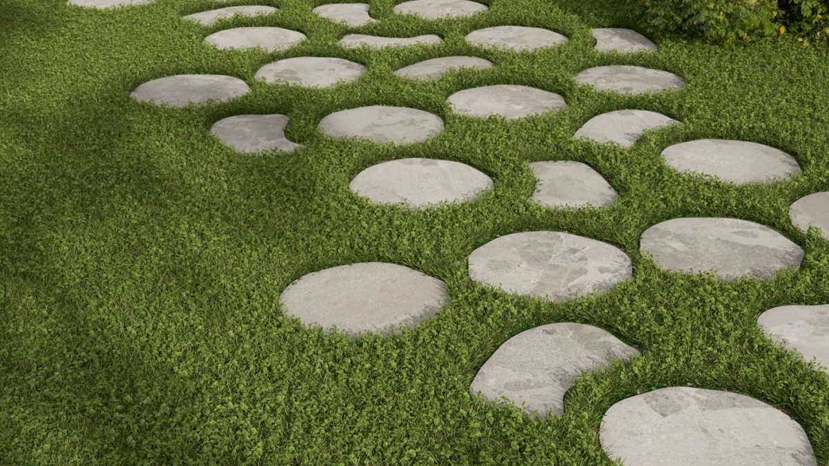 FINAL CU02 AM03 OUTDOOR AEXTRA20