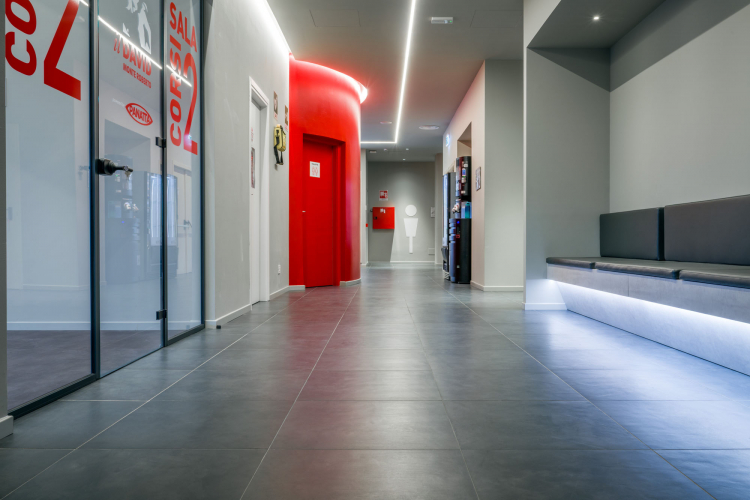 Il David Palestra 22