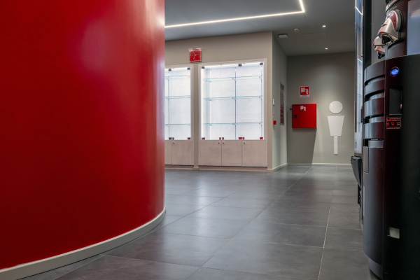 Il David Palestra 18