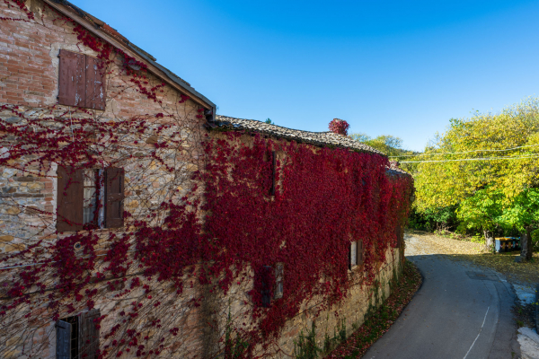 MaranelloResortBorgo 27