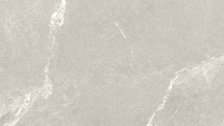 SELECT 24X48 DOLOMITE GRAY F01