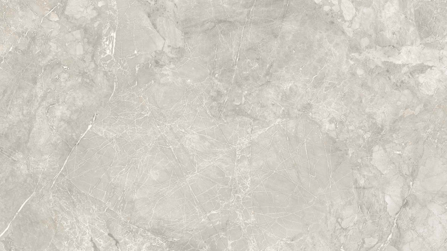 SELECT 24X48 SAVOY GRAY F03
